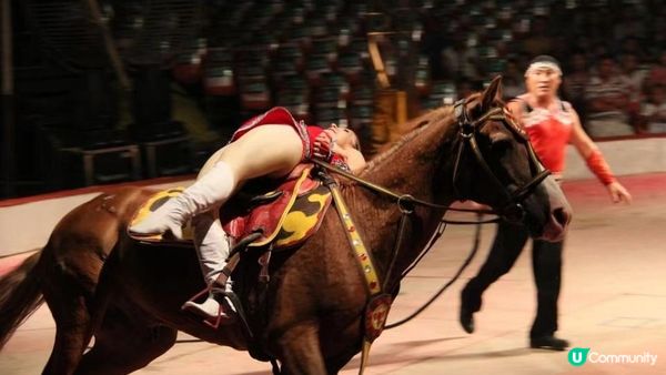 #暑期限定活動 奇趣夢幻馬戲嘉年華震撼來襲！Circus Carnival