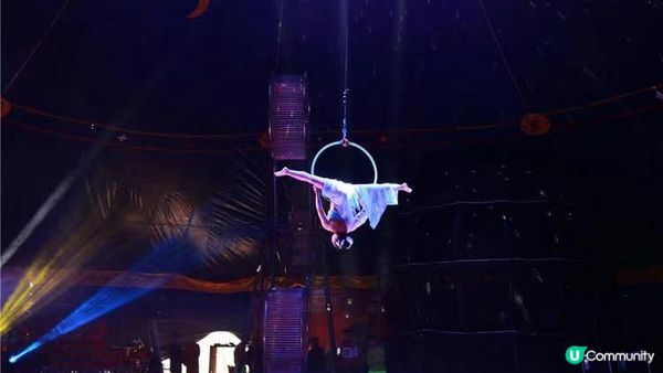 #暑期限定活動 奇趣夢幻馬戲嘉年華震撼來襲！Circus Carnival