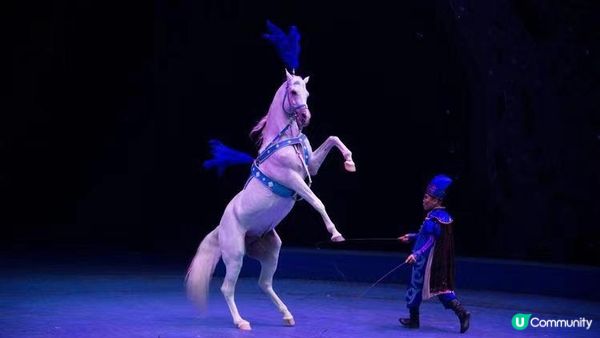 #暑期限定活動 奇趣夢幻馬戲嘉年華震撼來襲！Circus Carnival