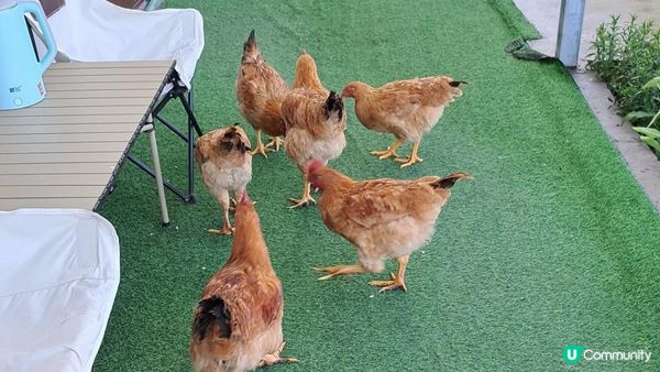 Day 8《北疆9天遊》獨庫公路北段，獨山子大峽谷 (那拉提➡️瑪納斯)