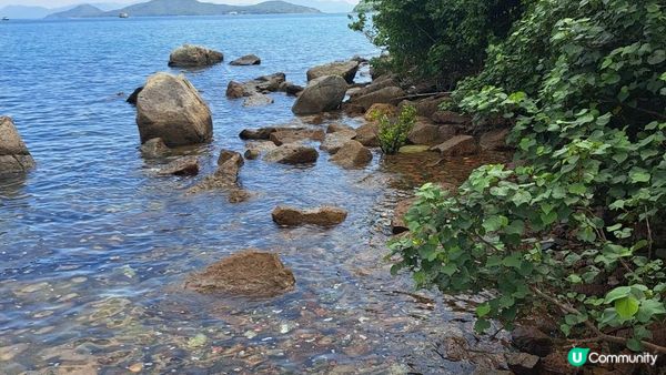 西貢浮潛🤿🐠🦀🪸🐚收穫滿滿的🫰《東心淇咀》