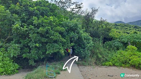 夏天消暑山澗遊💦👙《大嶼山二澳水澇漕石澗》