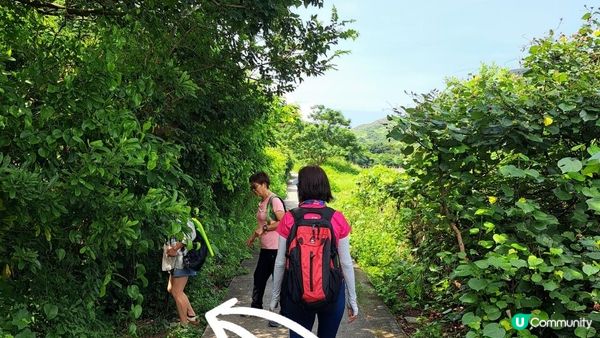 夏天消暑山澗遊💦👙《大嶼山二澳水澇漕石澗》