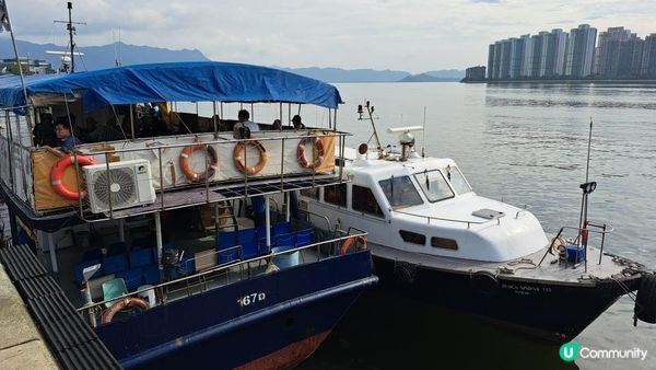 《荔枝窩至鹿頸行山篇》梅子林、谷埔、鳳坑