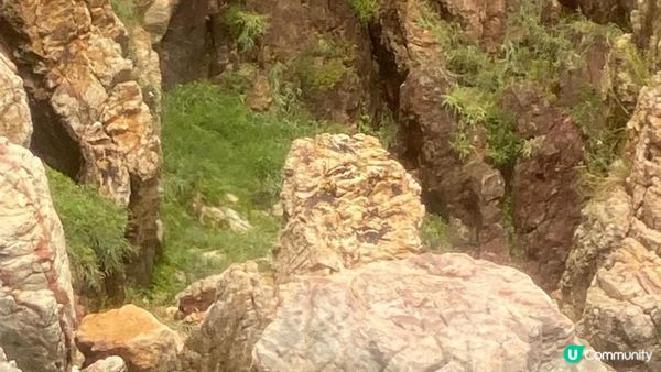 《荔枝窩至鹿頸行山篇》梅子林、谷埔、鳳坑