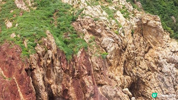 《荔枝窩至鹿頸行山篇》梅子林、谷埔、鳳坑