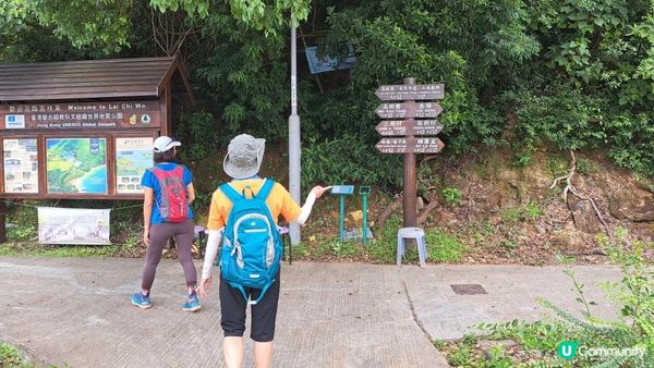 《荔枝窩至鹿頸行山篇》梅子林、谷埔、鳳坑