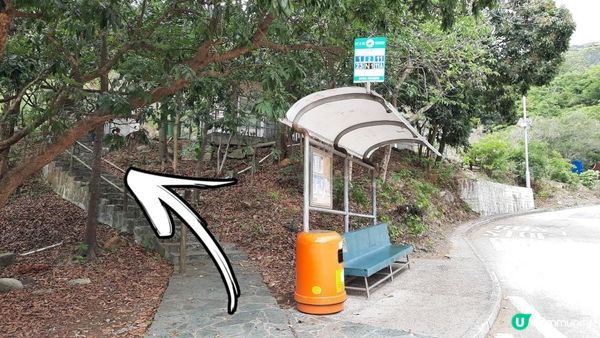 👣尋找大嶼山白角洞➕水口灣泥灘