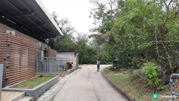 👣尋找大嶼山白角洞➕水口灣泥灘