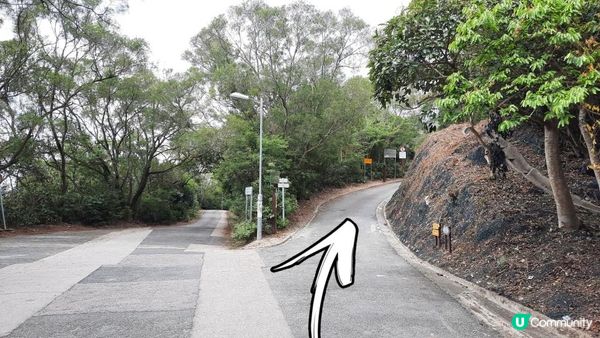 👣尋找大嶼山白角洞➕水口灣泥灘