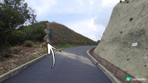 👣尋找大嶼山白角洞➕水口灣泥灘