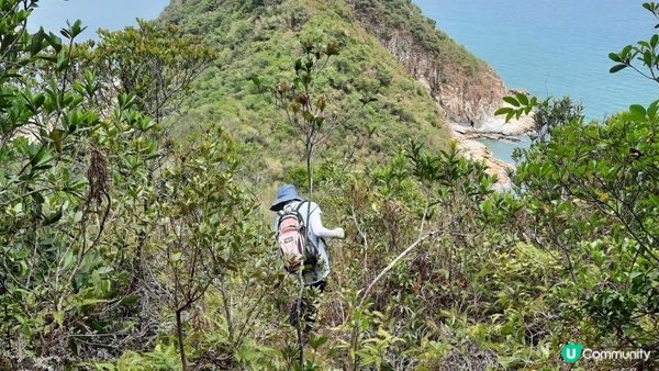 👣尋找大嶼山白角洞➕水口灣泥灘