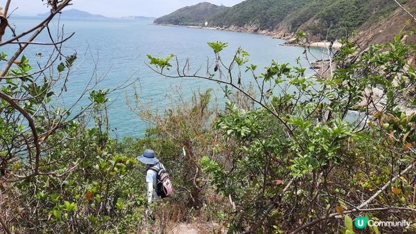 👣尋找大嶼山白角洞➕水口灣泥灘