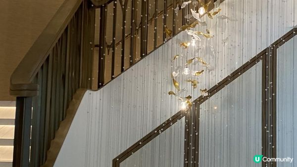 ❤️ 臨海渡假風香港富麗敦海洋公園酒店（詳盡版) Fullerton X Ocean Park X Babyshark X Lighthouse Café Buffet ❤️