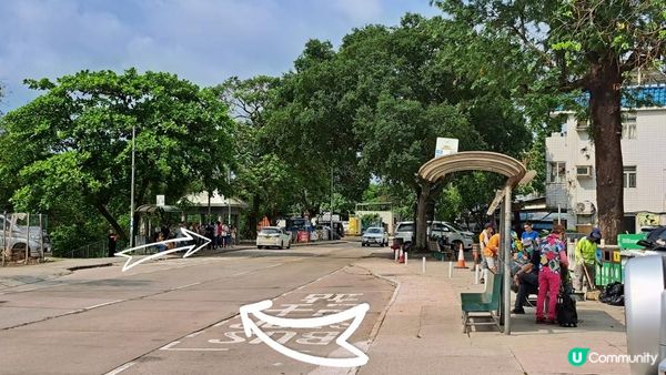 《大嶼山芝麻灣半島行山篇》望東灣、芝麻灣郊遊徑、黑人秘道、澄