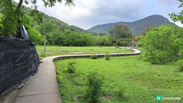 《大嶼山芝麻灣半島行山篇》望東灣、芝麻灣郊遊徑、黑人秘道、澄