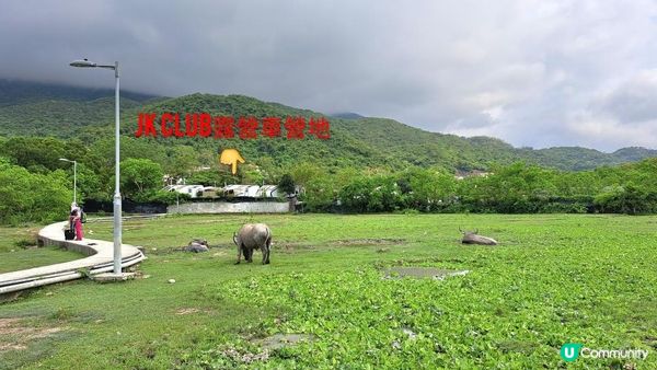 《大嶼山芝麻灣半島行山篇》望東灣、芝麻灣郊遊徑、黑人秘道、澄