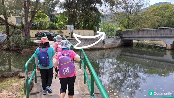 《大嶼山芝麻灣半島行山篇》望東灣、芝麻灣郊遊徑、黑人秘道、澄