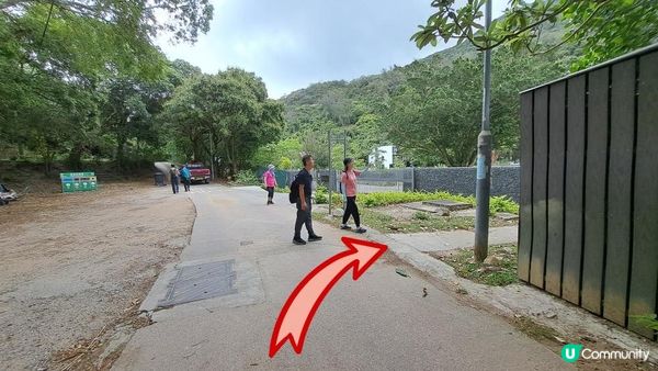 《大嶼山芝麻灣半島行山篇》望東灣、芝麻灣郊遊徑、黑人秘道、澄