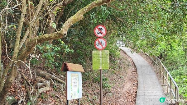 《大嶼山芝麻灣半島行山篇》望東灣、芝麻灣郊遊徑、黑人秘道、澄