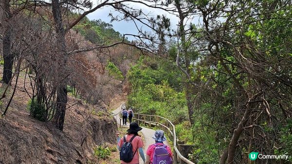 《大嶼山芝麻灣半島行山篇》望東灣、芝麻灣郊遊徑、黑人秘道、澄