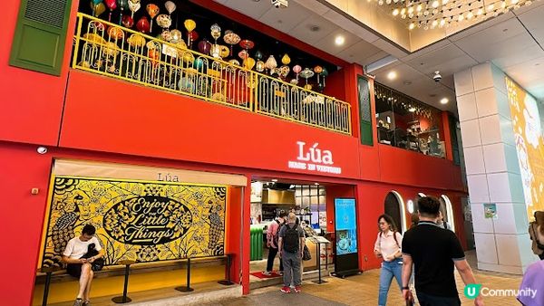 睇得又食得嘅正宗🇻🇳越南菜～