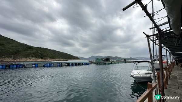 【西貢釣魚】超抵玩！$150包來回船票及滘西灣魚排入場券｜魚排內外釣魚。欣賞日落美景｜釣魚新手初體驗