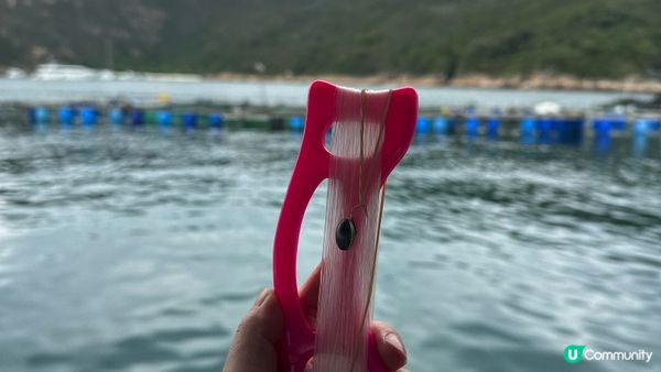 【西貢釣魚】超抵玩！$150包來回船票及滘西灣魚排入場券｜魚排內外釣魚。欣賞日落美景｜釣魚新手初體驗