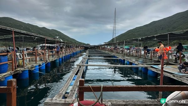 【西貢釣魚】超抵玩！$150包來回船票及滘西灣魚排入場券｜魚排內外釣魚。欣賞日落美景｜釣魚新手初體驗