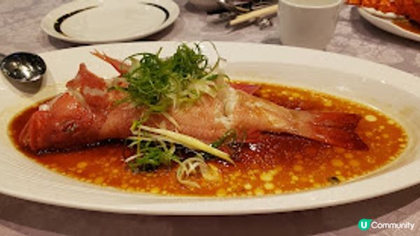 星薈．高質出品一流環境