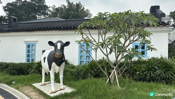 【香港好去處】薄扶林半日遊｜百年英式古蹟活化。薄鳧林牧場｜香港唯一新哥德式教堂。伯大尼小教堂｜香港非物質文化遺產。薄扶林村舞火龍