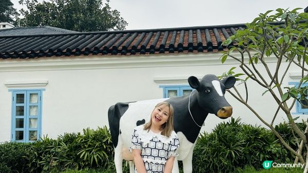 【香港好去處】薄扶林半日遊｜百年英式古蹟活化。薄鳧林牧場｜香港唯一新哥德式教堂。伯大尼小教堂｜香港非物質文化遺產。薄扶林村舞火龍