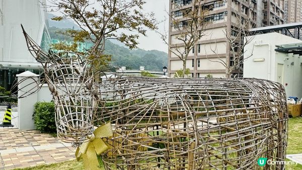 【香港好去處】薄扶林半日遊｜百年英式古蹟活化。薄鳧林牧場｜香港唯一新哥德式教堂。伯大尼小教堂｜香港非物質文化遺產。薄扶林村舞火龍