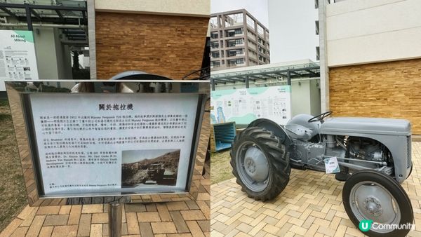 【香港好去處】薄扶林半日遊｜百年英式古蹟活化。薄鳧林牧場｜香港唯一新哥德式教堂。伯大尼小教堂｜香港非物質文化遺產。薄扶林村舞火龍