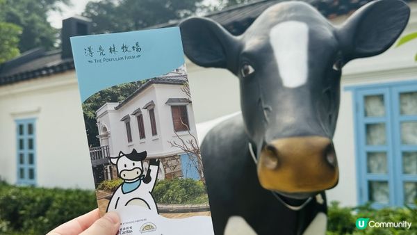 【香港好去處】薄扶林半日遊｜百年英式古蹟活化。薄鳧林牧場｜香港唯一新哥德式教堂。伯大尼小教堂｜香港非物質文化遺產。薄扶林村舞火龍