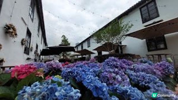 花深時節～饒宗頤文化館