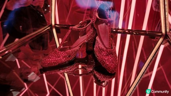 繼續寵愛張國榮紀念展2023