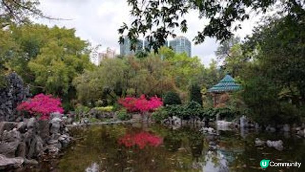 花深時節～荔枝角公園