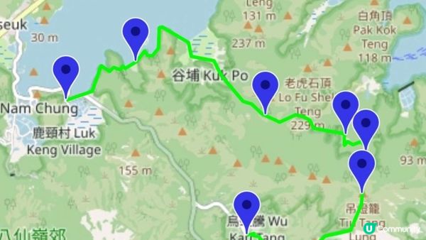 《大埔烏蛟騰至鹿頸行山篇》九担租(禾雀花)、犁三古道、吊燈籠