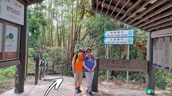 《大埔烏蛟騰至鹿頸行山篇》九担租(禾雀花)、犁三古道、吊燈籠