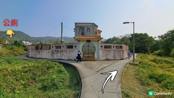 《大埔烏蛟騰至鹿頸行山篇》九担租(禾雀花)、犁三古道、吊燈籠