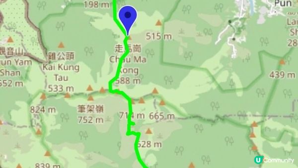 《大埔大菴路至城門水塘行山篇》小菴山、走馬崗、白千層