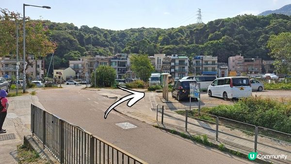 《大埔大菴路至城門水塘行山篇》小菴山、走馬崗、白千層