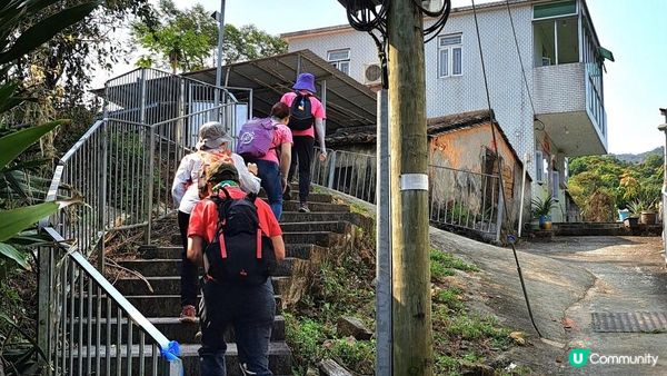 《大埔大菴路至城門水塘行山篇》小菴山、走馬崗、白千層