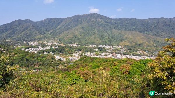 《大埔大菴路至城門水塘行山篇》小菴山、走馬崗、白千層