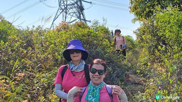 《大埔大菴路至城門水塘行山篇》小菴山、走馬崗、白千層