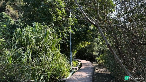 【西貢行山】上窰＞起子灣>曝罟灣｜上窰民俗文物館。起子灣碼頭。半月堤圍｜中級靚景行山路線｜行山新手親試後感：後半段好易行錯路