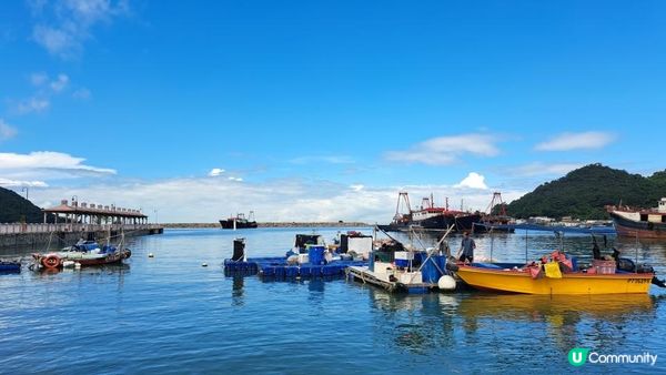 《大嶼山二澳有機稻米田》插秧體驗活動