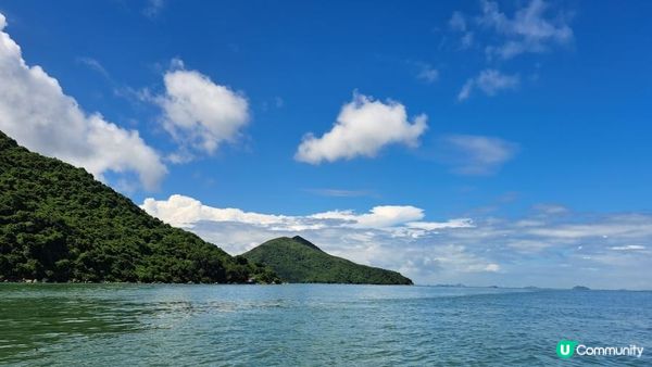 《大嶼山二澳有機稻米田》插秧體驗活動