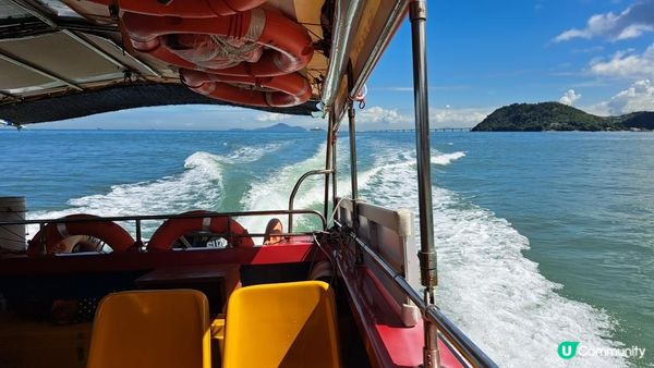 《大嶼山二澳有機稻米田》插秧體驗活動